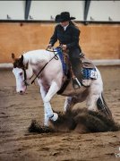 Cheval de reining