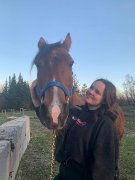 Demi-pension cheval retraité