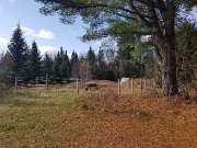 Fermette sur 2,4 acres