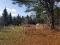 Fermette sur 2,4 acres