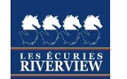 Emploi turn outs/palfrenier : Les écuries...