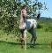 Poulain appaloosa x KWPN