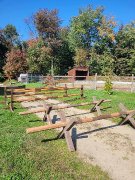 Sauts d'obstacle