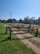 Sauts d'obstacle