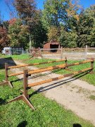 Sauts d'obstacle