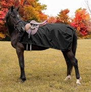 Shedrow Weatherproof Exercise Sheet
