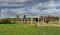 JCS Ranch