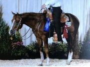 Delux Moxi zip