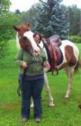2 chevaux à vendre (bon soin)