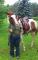 2 chevaux à vendre (bon soin)
