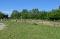 pension chevaux poneys