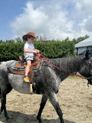 Recherche demi pension