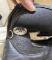 Selle dressage 17pc