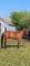 Standerbred