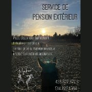 Pension extérieur pour chevaux