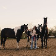 Entraînement pour Chevaux