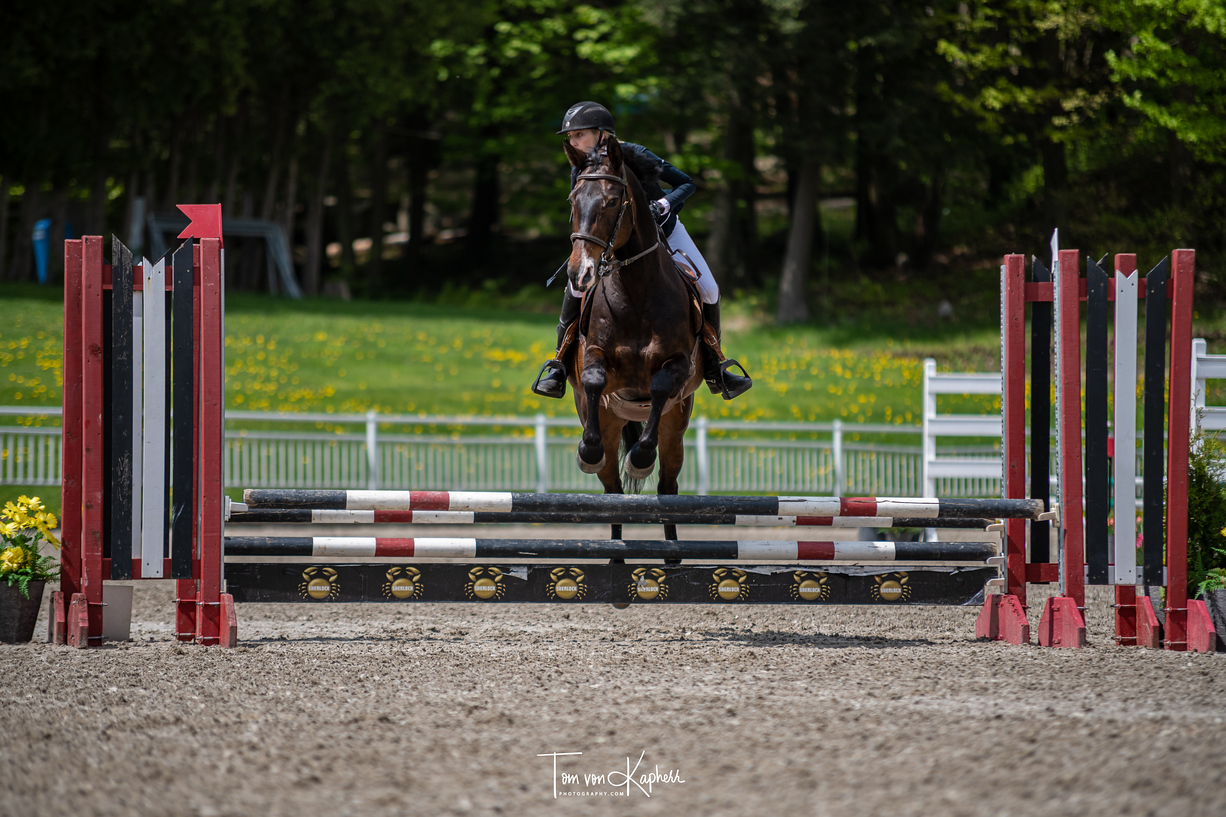 Cours d'équitation rive sud de mtl