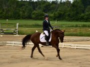 Cours d'équitation rive sud de mtl