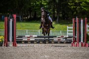 Cours d'équitation rive sud de mtl