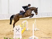 recherche une cheval de saut