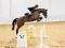 recherche une cheval de saut