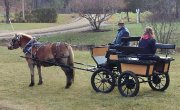 Wagonette Robert 6 places, outaouais