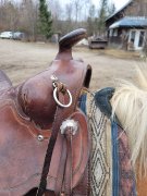 Selle 16 pouces western