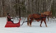 Traineau A1 pour cheval.