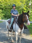 Bon cheval pour débutant