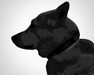 Kira - Femelle Berger allement/ labrador 2 ans noir/tan