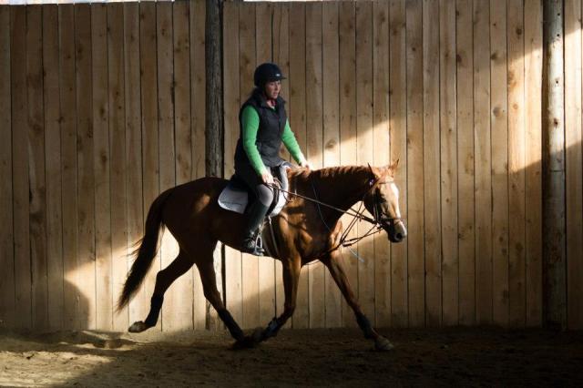 Thistoo Shall Pass - Jument Thoroughbred 4 ans Alezan