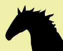 oc&eacute;ane - Femelle Cheval 5 ans 