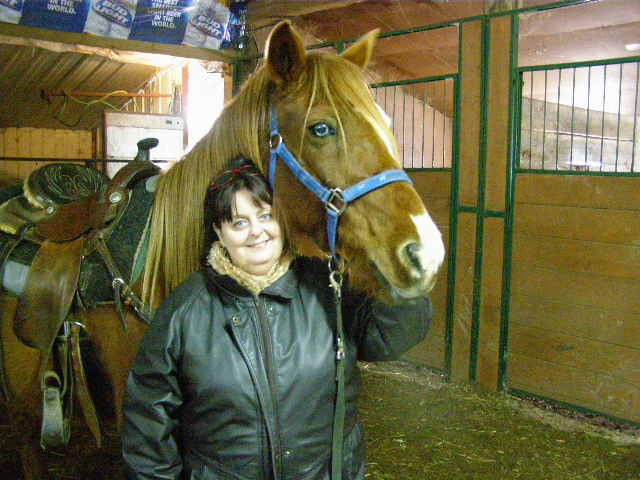 Blue Eyes - Femelle QH 14 ans chestnut