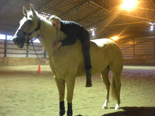 Ti-nuage - Mâle Quarter horse 6 ans Palomino