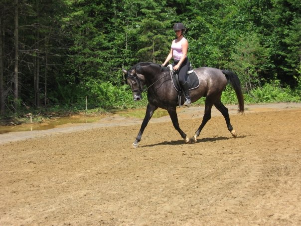 Ce sont de vieilles photos alors pitié...   lol 

Je pense qu'elle représente plutôt bien un cheval sur le contact qui utilise bien son dos.