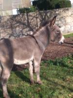 Voici quelques photos