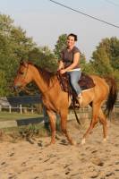Juste pour voir... Mon nouveau cheval

Nom: Axl
Age: 3 ans
Race: Quarter-horse
Info: Jeune quarter horse de 3 ans ayant des aptitudes...