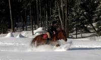 Je suis une accro de la trail l'hivers. La jument que je monte est ferré à crampon aux 4 pattes. Les précautions : protections (minimum cloches)...
