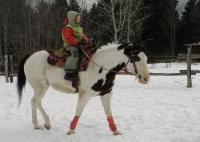 Merci beaucoup   Elle est venu aujourd'hui . Elle ne voulais pas faire de jeu mais plut&ocirc;t juste monter au pas et au trot . Elle &eacute;tait tr&egrave;s bonne ,...