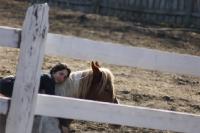 Je te raconte mon histoire. J'avais 15ans et r&ecirc;vcais d'un cheval pour faire du saut, mais je voulais une exeption un cheval qui allait faire parler....