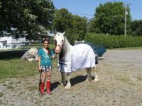 nous on a long&eacute; un peu wally hier,quelques tours de trot et 3 tours de galop rien de trop &eacute;puisant    ensuite il a eu droit &agrave; une bonne douche(il a...