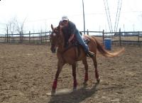 Salut ,
pour des cours d'&eacute;quitation western sur la rive-sud de Montr&eacute;al, 
je te sugg&egrave;re Le Ranch Anne-Marie Lussier sur la 104 entre 
Laprairie et...