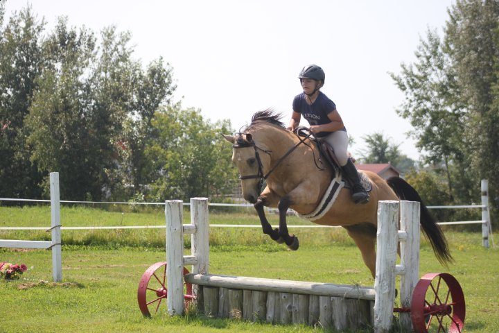 Moi sur cette photo je n'avais pas prévus que mon cheval over jumperait .