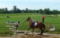 Compé de TREC, saut du fossé en main qui n'a pas fonctionner du 1er coup!