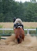 Et ma meilleure...  
Parcours de sauts suivi de reinning devant un oxer quand même sauter, puis on a terminer le parcours comme si rien ne...