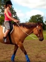 Wow vous avez toutes de très belles positions    Personnellement j'ai exactement la même position en selle classique qu'en selle western XD

......