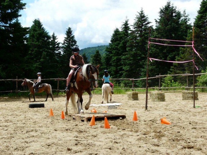 Salut, on a fait un mini parcours dans le manège une année pour les jeunes du camps. C'est pas grand chose, c'est fait avec les moyens du bord, mais moi-même...