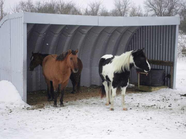 Salut,

Le mien est en acier galvanisé, il vient de la compagnie Ungava (www.archidrome.com).

Durable, grandeur sur mesure (le mien est pour 3 chevaux),...