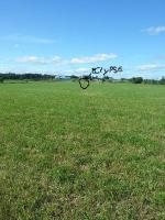 ma jument a pas un paddock paradise a proprement parl&eacute;, mais il y a diff&eacute;rents type de sol, une belle cote, et de la place en masse! 
voici une...