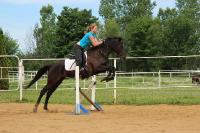 Moi ma jument je l'aie mont&eacute; dans les deux western et classique mais je la pr&eacute;fere en classique

voici une photo de elle en saut